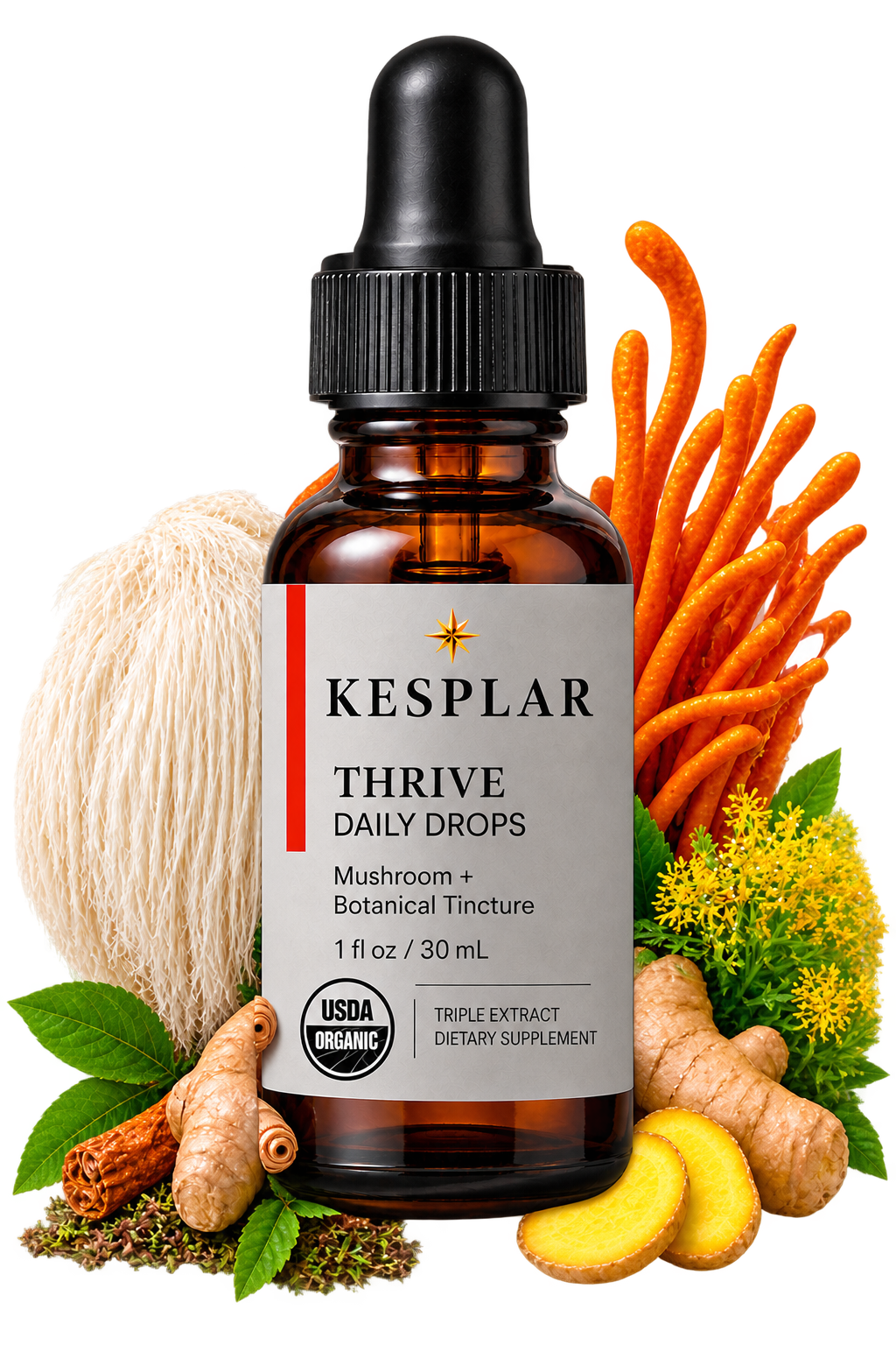 Thrive bottle shown with Lion’s Mane, Cordyceps, Rhodiola, Ginger